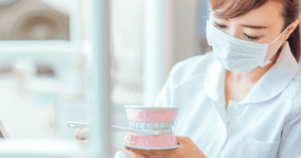 歯の模型を使って正しい歯みがきを説明する歯科衛生士