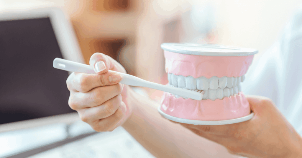 歯の模型を使って正しい歯磨き方法を説明する歯科スタッフ