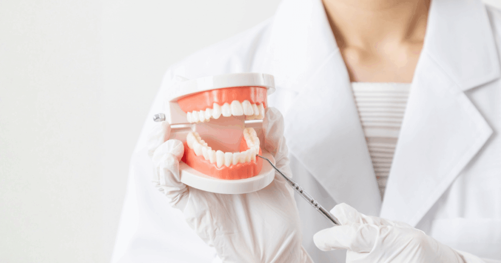 歯周病の進行や受診の必要性を説明するため歯の模型を使って解説している様子