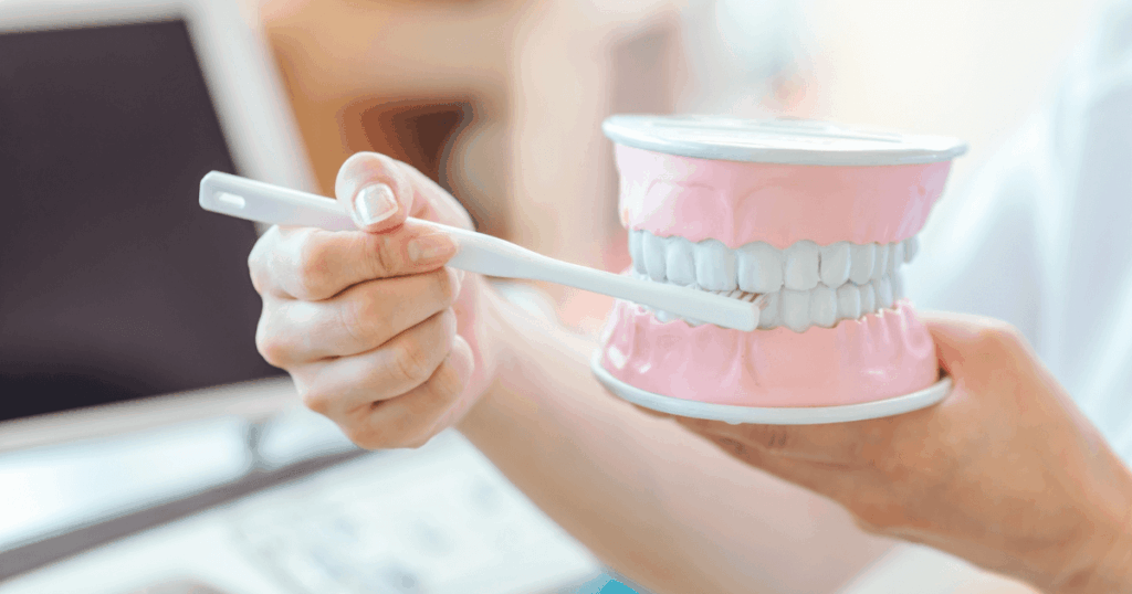 歯周病治療の説明として歯の模型を使いブラッシング方法を指導している様子