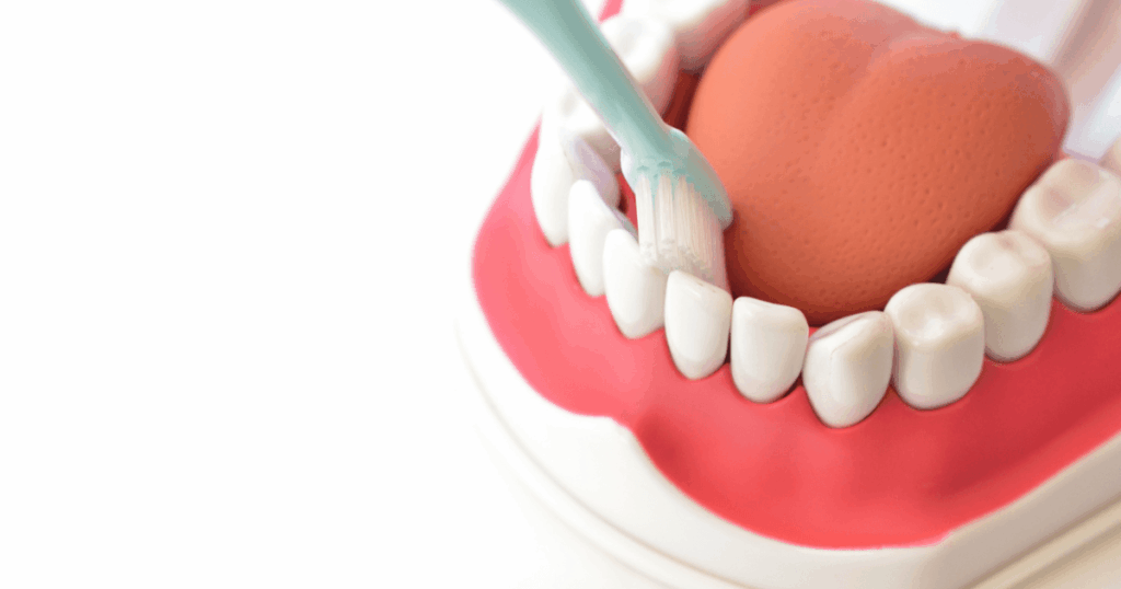 歯周病対策のための正しい歯磨き粉の使い方と磨き方のイメージ