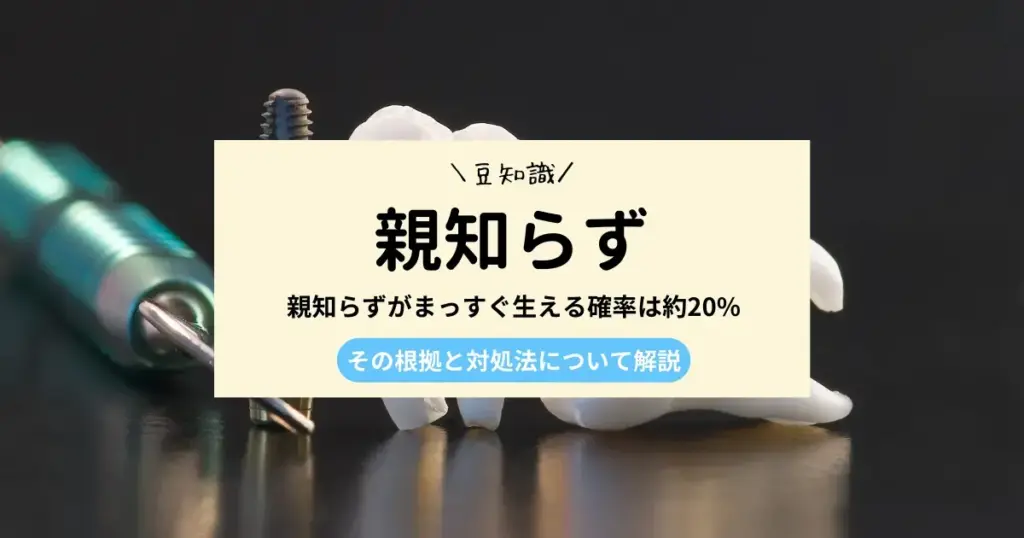 親知らずがまっすぐ生える確率は約20%！？｜生え方や対処法について解説