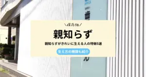 親知らずがきれいに生える人の特徴5選｜生え方の種類も紹介