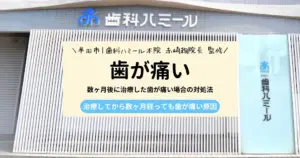 【現役歯科医師が監修】数ヶ月後に治療した歯が痛い場合の対処法