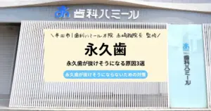 【現役歯科医師が監修】 永久歯が抜けそうになる原因3選｜予防方法も解説