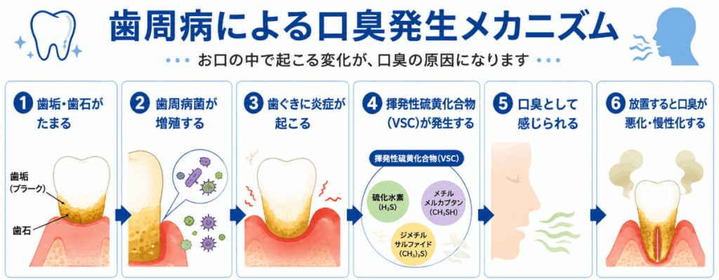 歯周病による口臭発生メカニズムの図